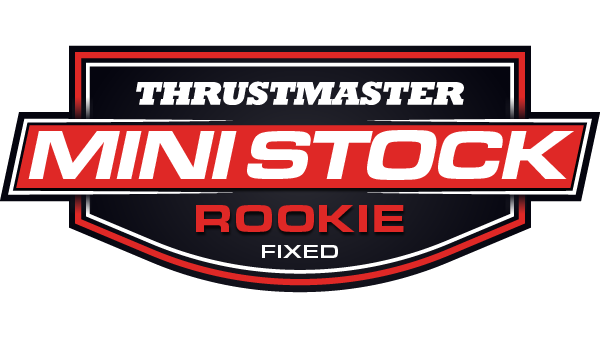 Mini Stock Rookie Series by Thrustmaster